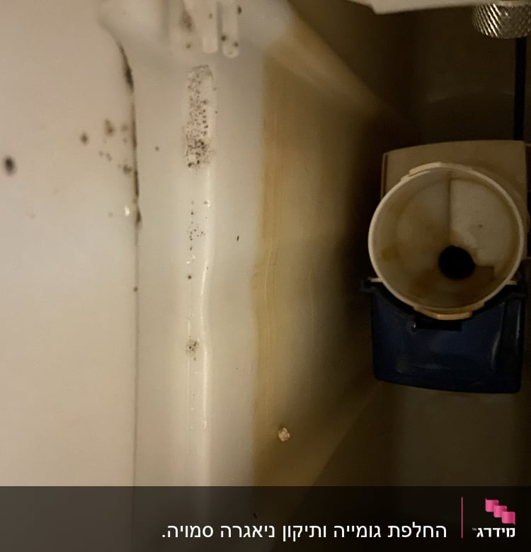 מיכל שירותים עם סימני חלודה ולכלוך